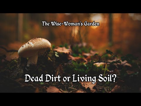 Dead Dirt or Living Soil? - The Wise-Woman&#039;s Garden