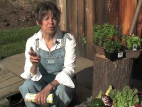 Gardening by the Moon