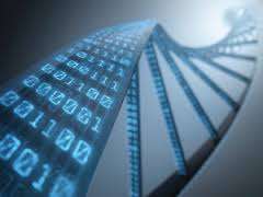 DNA programming