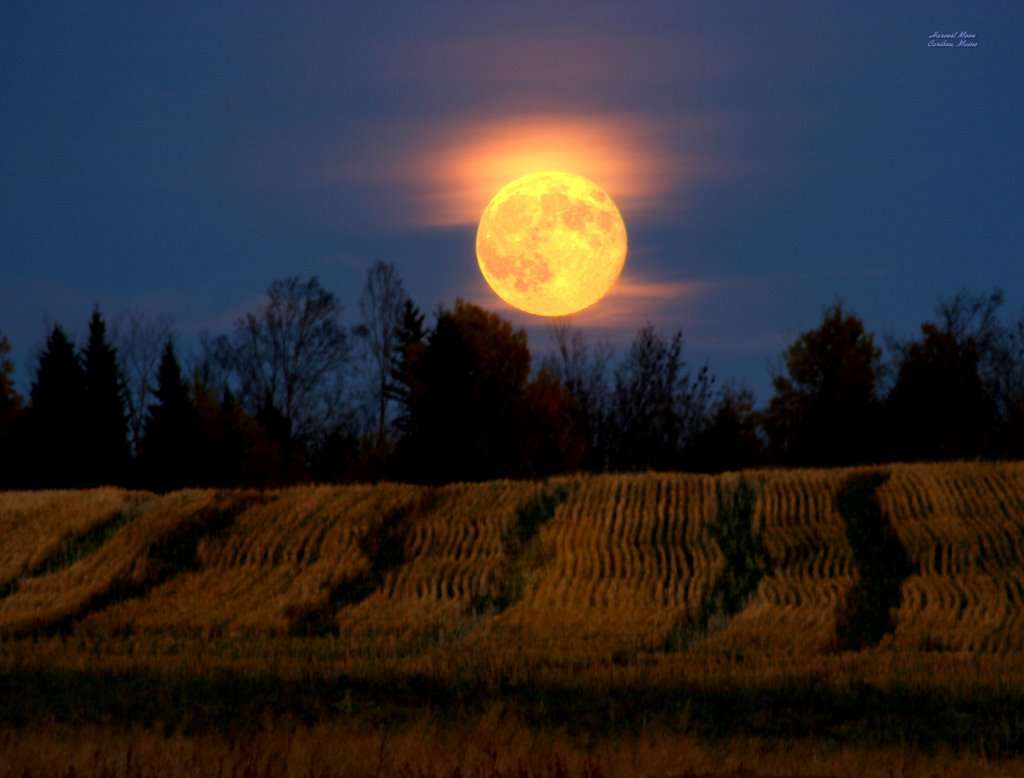 Harvest Moon picture