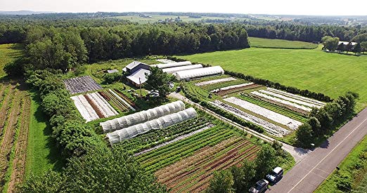 A Market Garden Farm