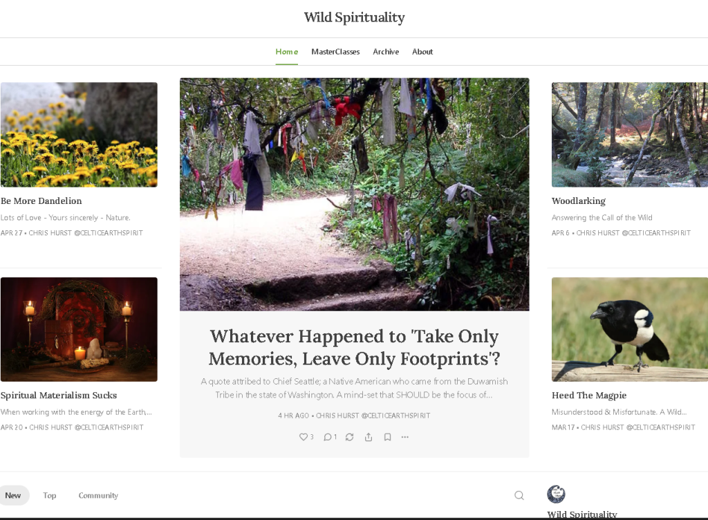 Screenshot of Wild Spirituality home page