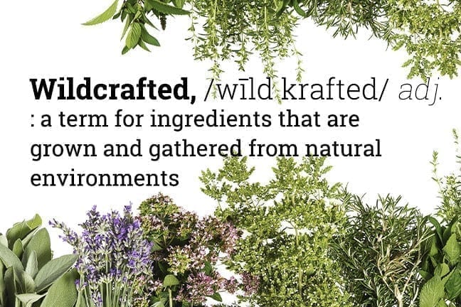 Definition of Wildcrafted