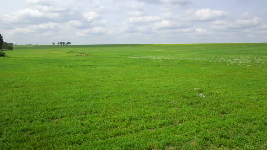 A Monoculture Field