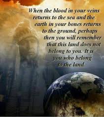 Native American Wisdom about the Land